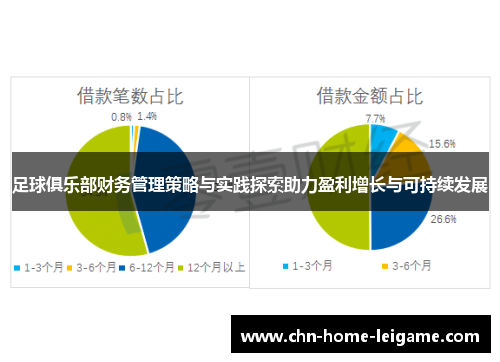 足球俱乐部财务管理策略与实践探索助力盈利增长与可持续发展